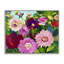«Tea Garden Mums», estampe numérique, conception par Lee Ann Zirbes-202794381-202794377