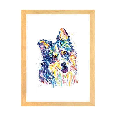 " Australian Shepherd " by Lisa Whitehouse
