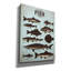 «Vintage Fish Poster» par Epic Portfolio, art mural sur toile-574015345