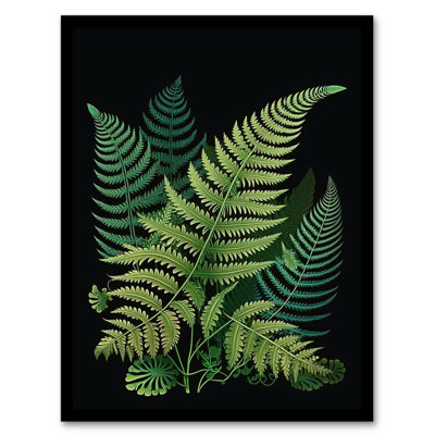 Fern Fronds Botanical Nature Elegant Foliage Green Black - Single Picture Frame Print