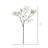 Dogwood Arrangement
