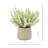 Ferdinand Heather Arrangement in Pot-28784520