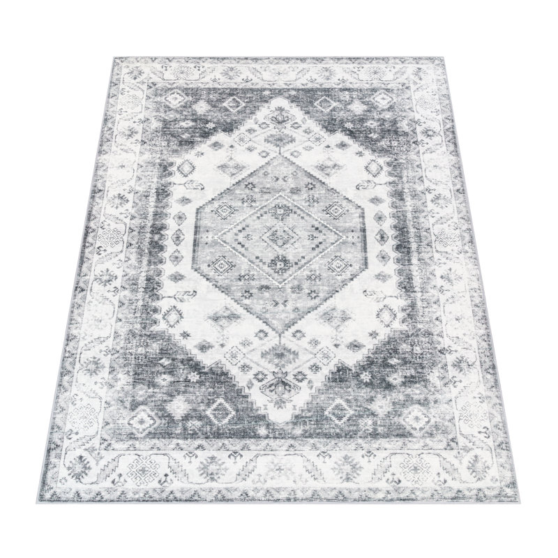 Allardt Oriental Area Rug, Rectangular 160 x 220cm