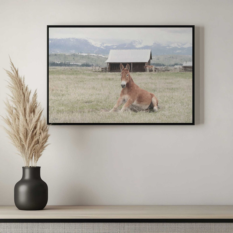 «Mountain Mule» par Lori Deiter, reproduction d'art, 30 W x 20 H, Blanc, Framed Canvas