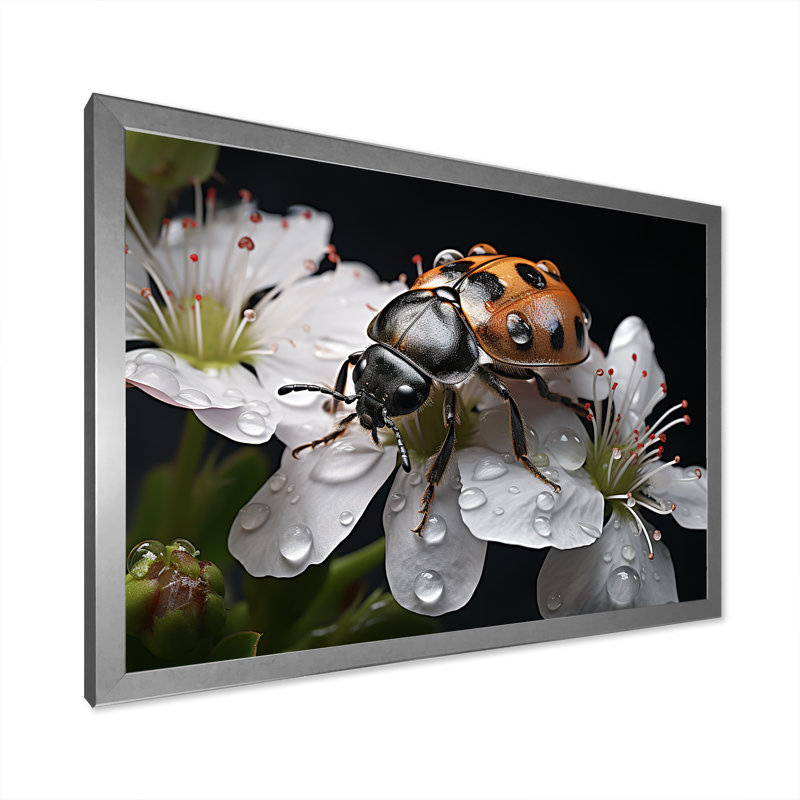 Nature c - Mystérieuse coccinelle en fleurs - imprimé, H 16 po x l 32 po x P 1 po, Cadre simple argenté