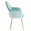Pugliese Velvet Armchair-2130039605-2130039594