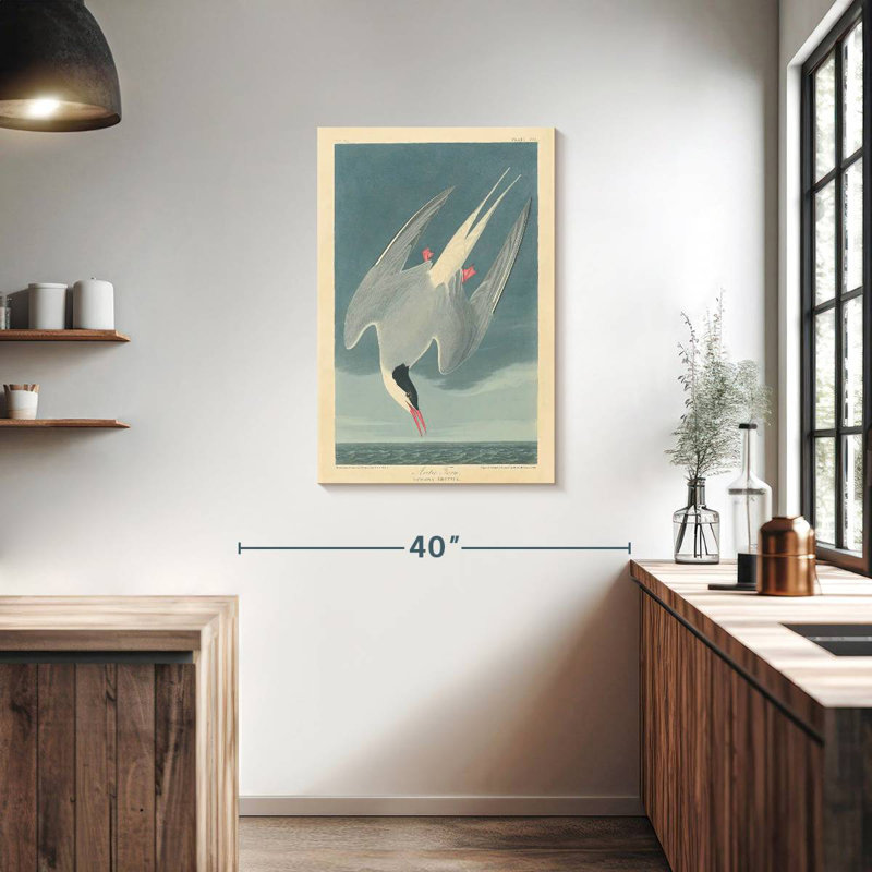 Brampt Arctic Tern, 36" H x 24" W