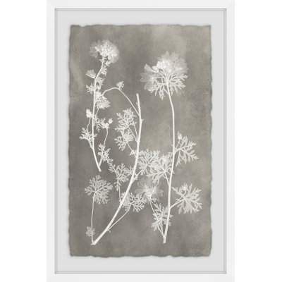 Vintage Plant Study I by Marmont Hill - Single Picture Frame Print