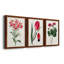 Roseat Blooms I - ensemble de 3 peintures sur toile encadrées-828588972-828588951