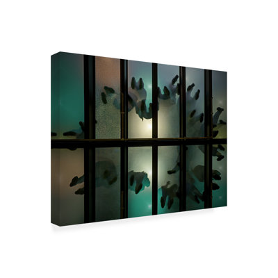 Art sur toile, "Bachelo" par Roberto Parola