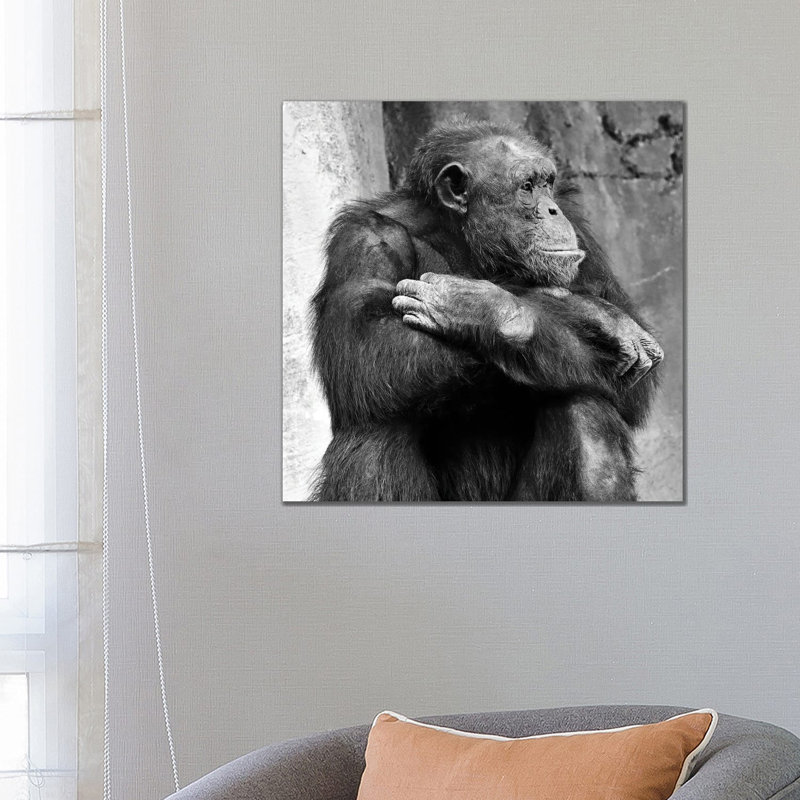 Majestic Profile by Zoe Schumacher - Wrapped Canvas Print, 45.72cm H x 45.72cm W x 1.905cm D