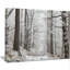 Forest Trail on Winter Morning - Reproduction de photo sur toile tendue-19408336