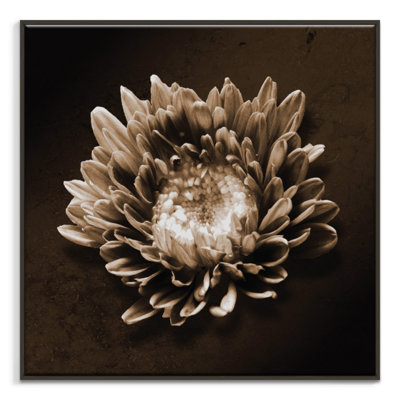 Print on Canvas