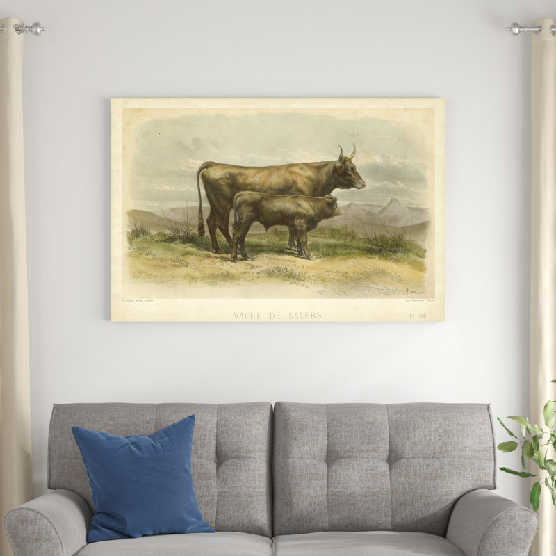 Vache De Salers, H 32 po x l 48 po x P 1,25 po