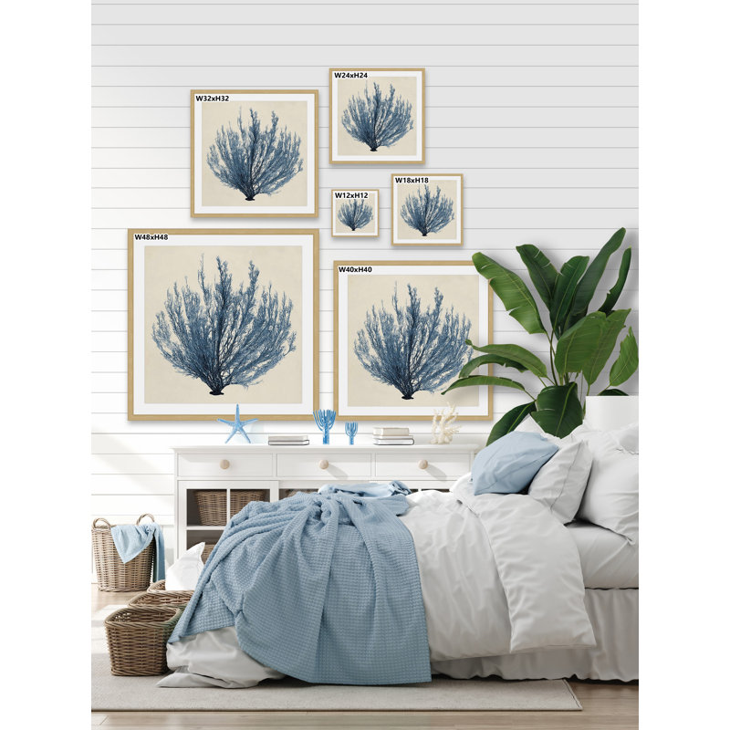 «Coastal Seaweed III» par Marmont Hill - Reproduction d'art graphique sur papier encadré, H 24 po x l 24 po x P 1,5 po