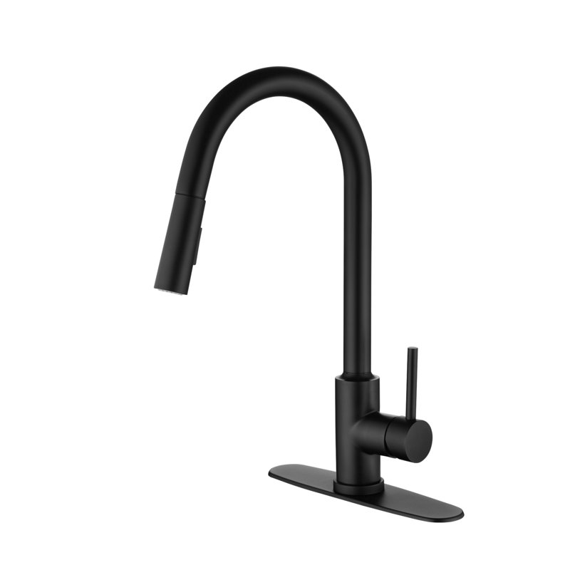 Kitchen Faucet With Pull Down Sprayer, Matt Black