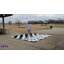 14" Luxurious Giant Checkers-102342096