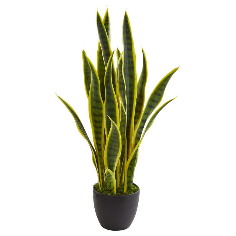 Sansevieria Artificial Plant