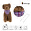 Turquoise topiaire 19 po chien assis brun