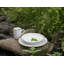 Salt 10.75" Dinner Plate