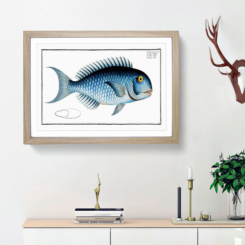 Blue Fish by M.E. Bloch - Framed Print, Oak Framed, 48cm H x 65cm W x 2cm D