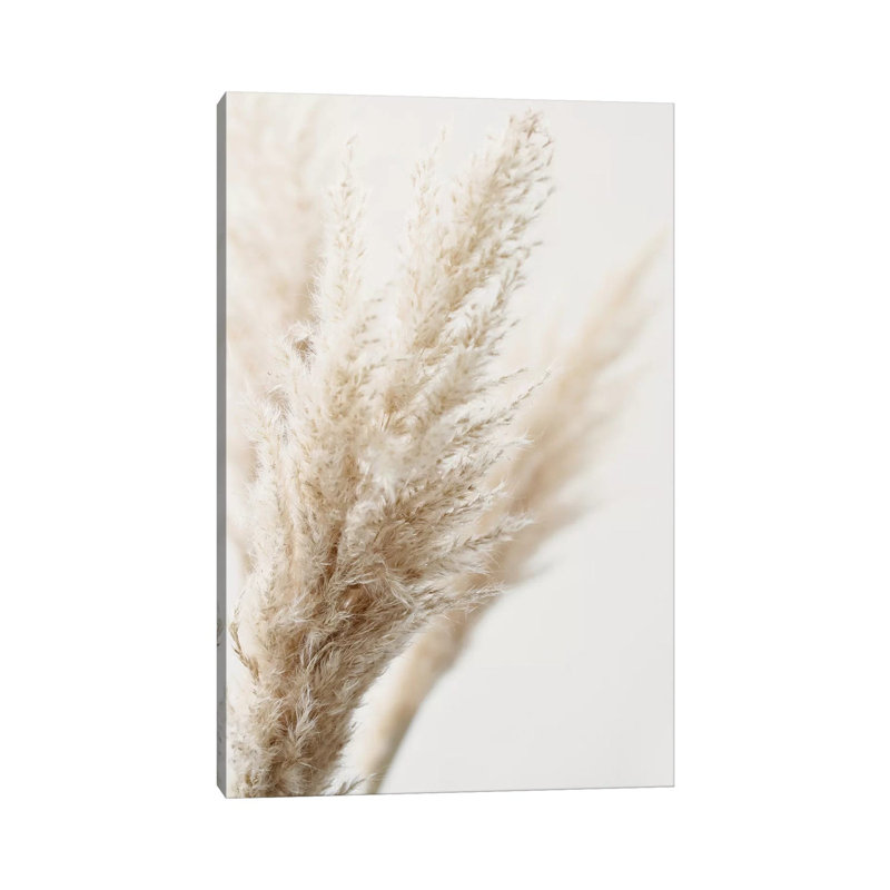 Pampas Reed III by Monika Strigel - Print on Canvas, Wrapped Canvas, 30.48cm H x 20.32cm W x 1.91cm D