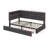 Upholstered Twin Size Daybed With Storage 2 Drawers And LED Lights-944801909