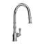 Georgian Era™ Pull-Down Single Handed Kitchen Faucet With Accessories-54637367
