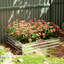 Metal Planter Box