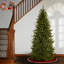 Sapin Fraser effilé d'aspect naturel-1176805880