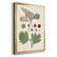 Feuilles et baies IV sur papier-88435449-88435448