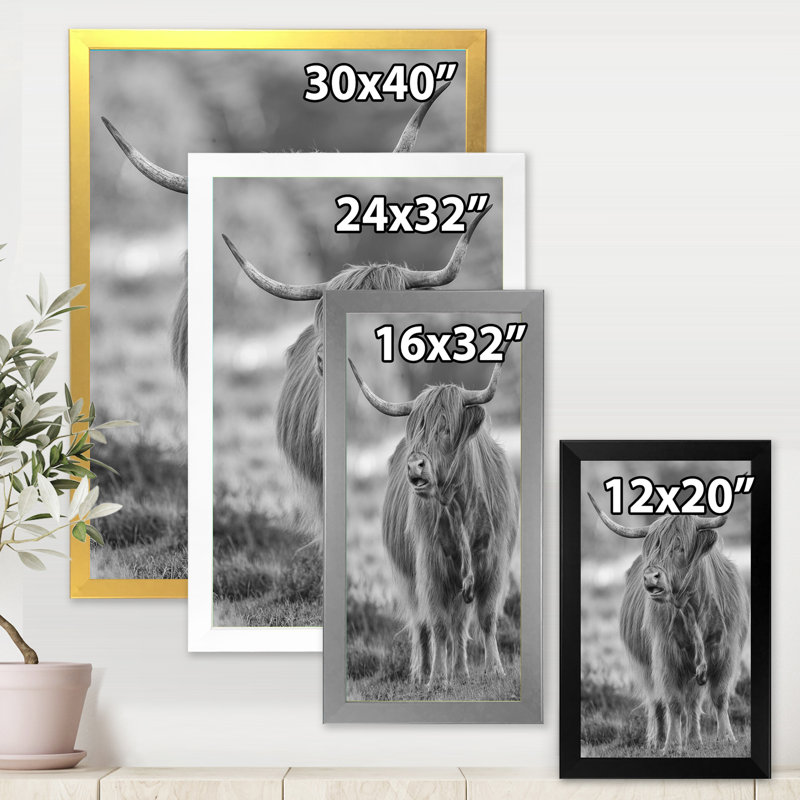Gros plan sur un taureau - photographie sur toile, H 40 po x l 30 po x 1,5 po, Cadre blanc