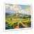 White Picture Framed