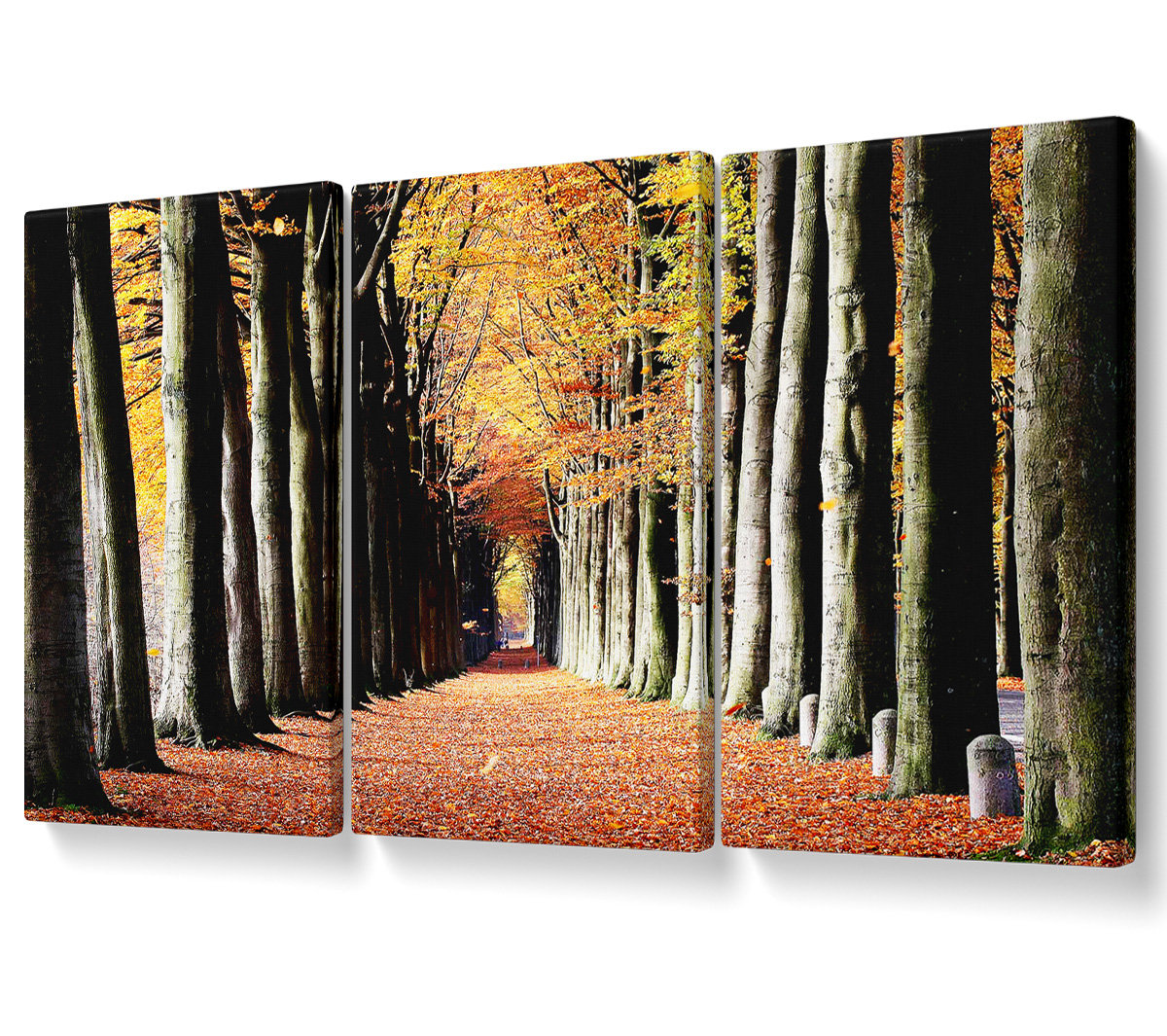 Ebern Designs Woodland Walk - 3 Piece Wrapped Canvas Graphic Art ...