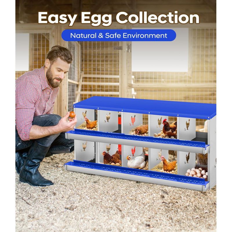Boîte de nidification pour poules pondeuses, boîte de nidification en métal à 10 compartiments, boîtes de nidification murales pour poulets, collection facile d'œufs, boîtes de ponte pour poules pour protéger les œufs, bleu