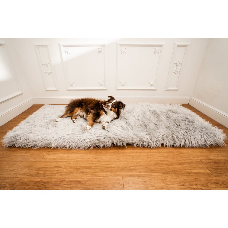 Powhattan PupRug Runner Faux Fur Memory Foam Dog Mat Tucker Murphy Pet Color: Gray, Size: Medium (35 W x 2 D x 50 H)