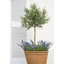 Handmade Pot Planter-14486386