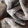 Chimene Lilith Modern Abstract Grey Rug