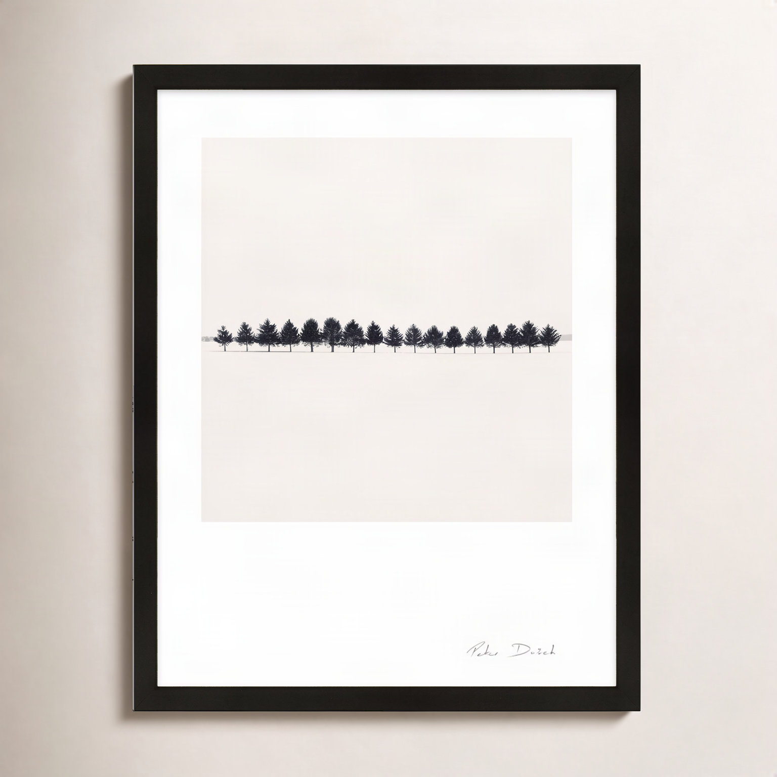 Seventeen Trees by Peter Dušek, 30" H x 24" W x 1.25" D, Black