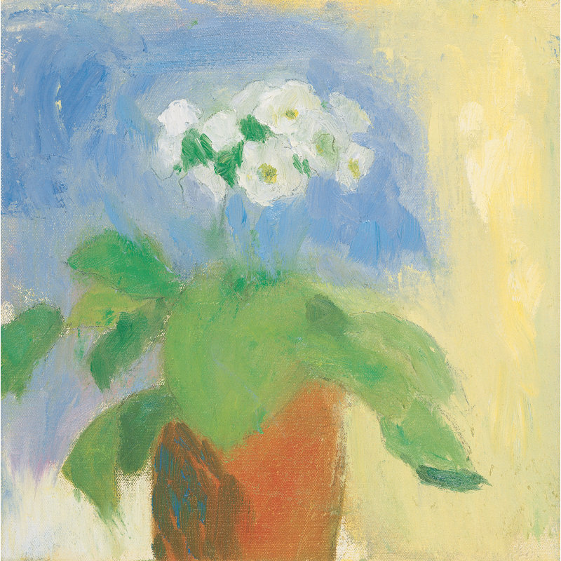 Cream Primula by Michael Clark - Wrapped Canvas Painting, 91cm H x 91cm W