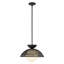 Luminaire suspendu 1 lumière Byrone-1330090100
