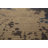 Handmande Wool Abstract Indian Area Rug