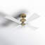Launceton Downrod Ceiling Fan-1074329044