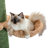 Tisbury 90.2'' H Cat Tree-643918911