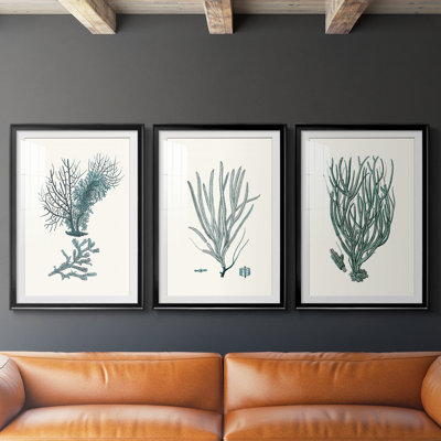 Antique Coastal Coral VI - reproduction encadrée de qualité supérieure sur mesure mat - 3 pièces