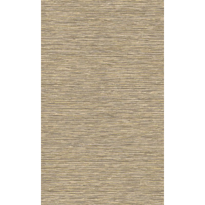 Idiokitas Grasscloth 396' L x 21" W Wallpaper Roll