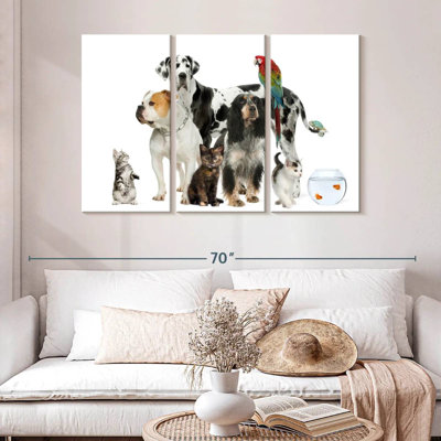 Brampt Group Of House Pets