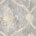 Gris/beige
