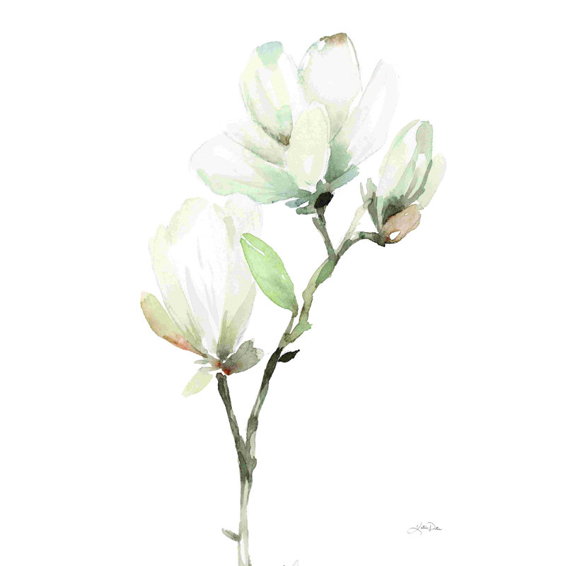 «White Magnolia II» par Katrina Pete - Peinture, Papier avec cadre unique blanc, Non, H 30 po x l 20 po