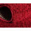 Tapis rouge sang Baynes-130905033-26309319